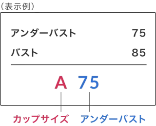 ワコール公式：ブラジャーのサイズ表記（アンダー数値＋カップ）の見方