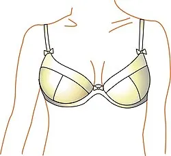 プランジブラジャー