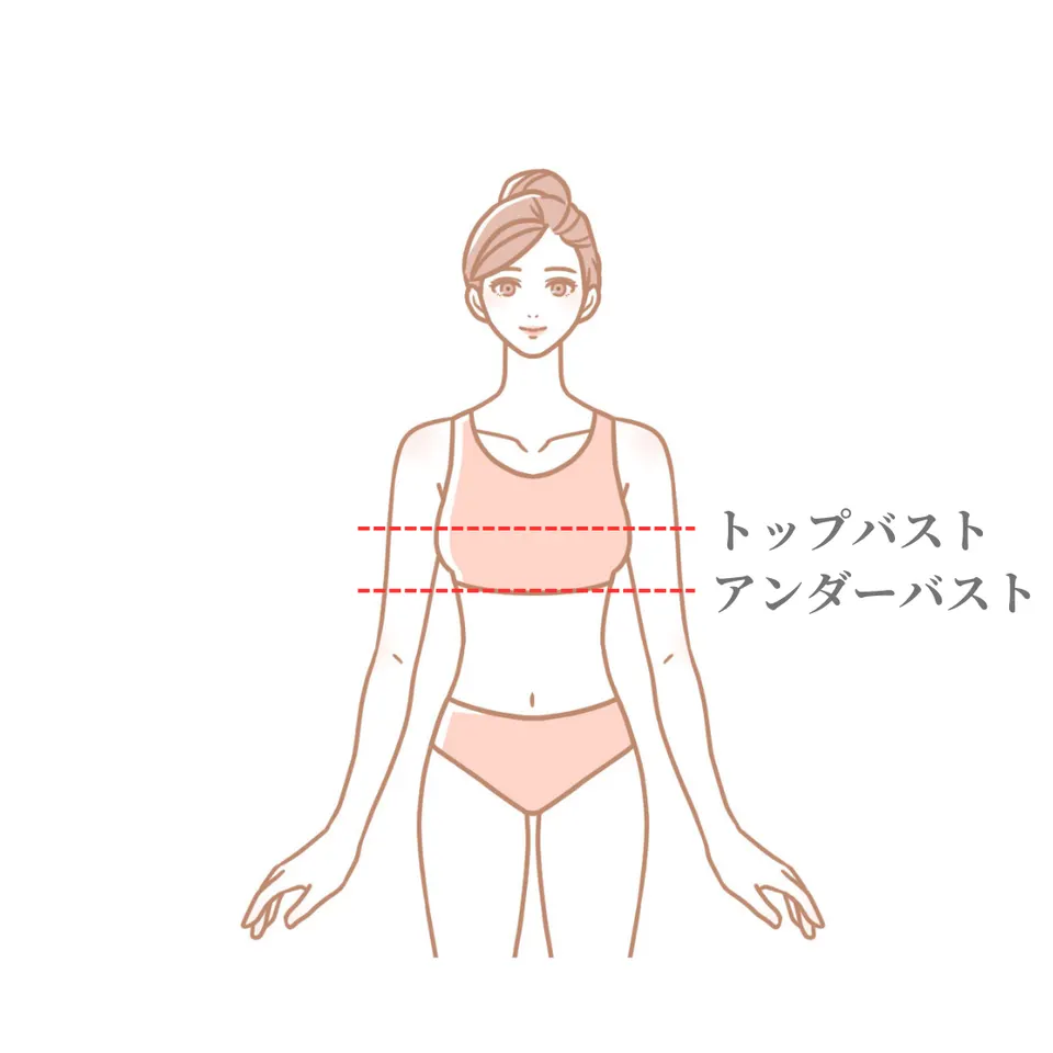 ブラジャー 乾燥後の収納と保管方法