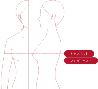 トリンプ公式：セルフフィッティング計測ポイント解説図